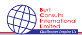 Bert Consults International Limited